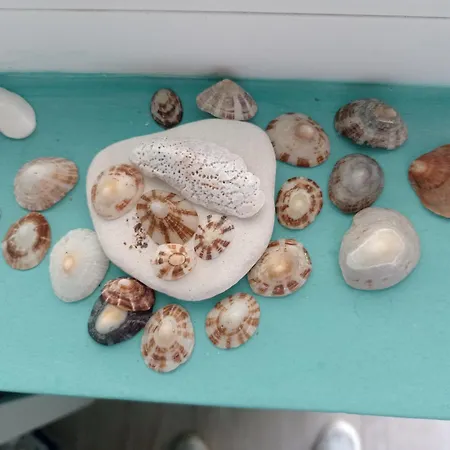 Appartement Juli Lozenets